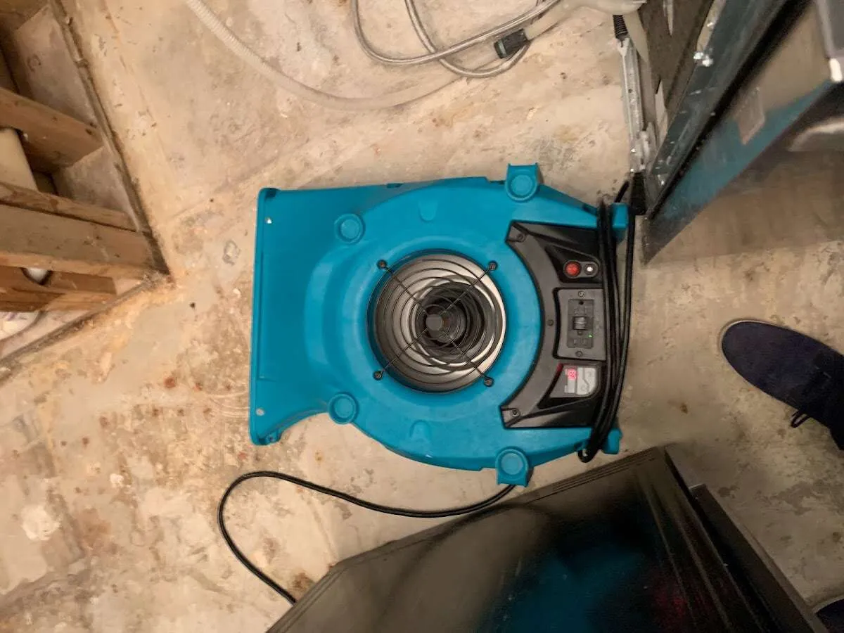 Air mover drying equipment for Mold Remediation & Removal in West Goshen